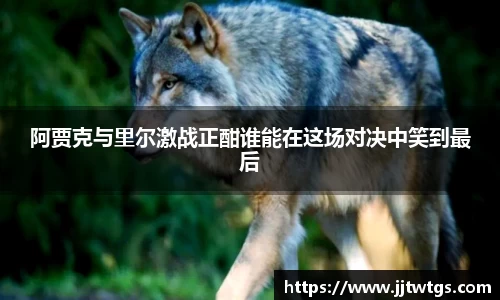 mk体育(MKsports集团)股份公司